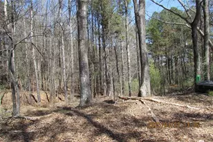 8740 Atlanta Newnan Rd, Chattahoochee Hills, GA 30268 - Photo 9