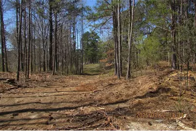 8740 Atlanta Newnan Road, Chattahoochee Hills, GA 30268 - Photo 5