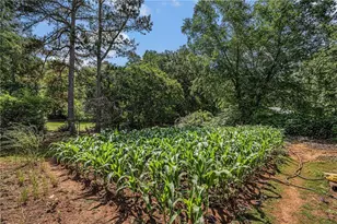 2405 Old Salem Rd SE, Conyers, GA 30013 - Photo 31