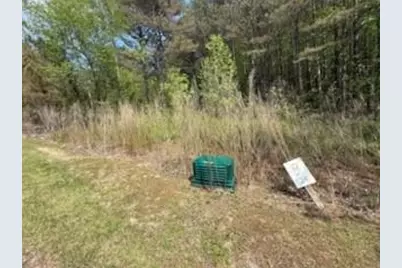 0 Eastside Drive, Ellijay, GA 30536 - Photo 7