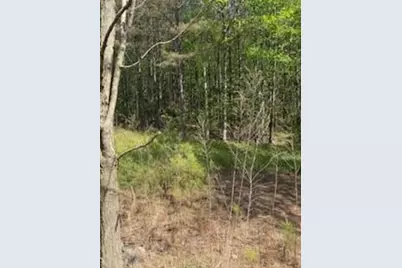 0 Eastside Drive, Ellijay, GA 30536 - Photo 3