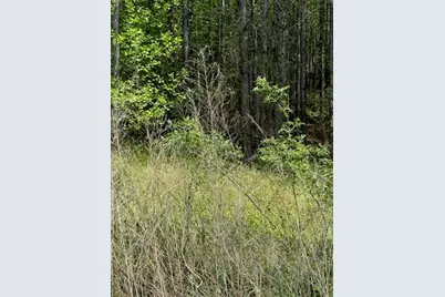 0 Eastside Drive, Ellijay, GA 30536 - Photo 5