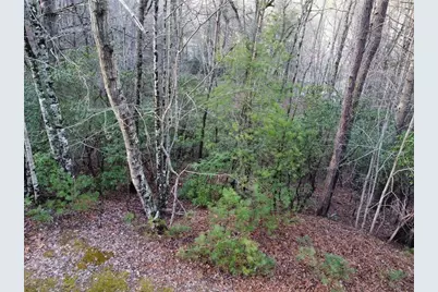 4 Villa Weg, Helen, GA 30545 - Photo 3