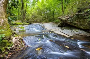 4421 Paradise Circle, Vinings, GA 30339 - Photo 95