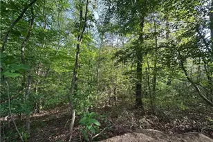 261 Potomac Dr, Dallas, GA 30132 - Photo 61