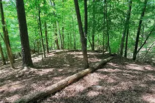 2075 Parody Circle, Ellijay, GA 30540 - Photo 3