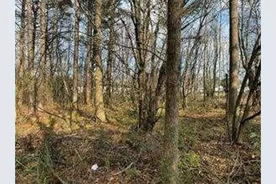 2949 Rosebud Road, Snellville, GA 30078 - Photo 35