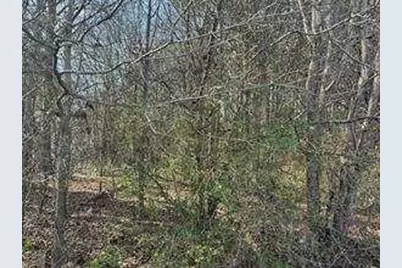 2949 Rosebud Road, Snellville, GA 30078 - Photo 13