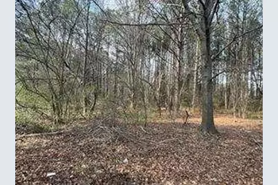 2949 Rosebud Road, Snellville, GA 30078 - Photo 21