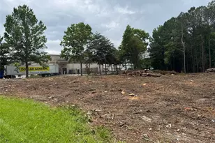 2949 Rosebud Rd, Snellville, GA 30078 - Photo 1