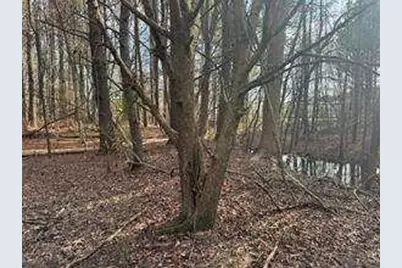 2949 Rosebud Road, Snellville, GA 30078 - Photo 29