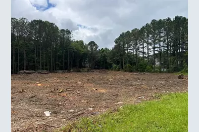 2949 Rosebud Road, Snellville, GA 30078 - Photo 39