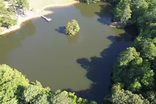 441 Mountain View Ln, Woodstock, GA 30188 - Photo 41