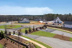 1040 Amerson st, Buckhead, GA 30625 - Photo 7