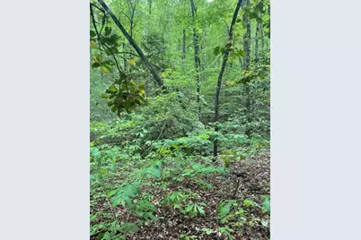 0 McCormick Drive, Dawsonville, GA 30534 - Photo 7