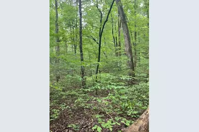 0 McCormick Drive, Dawsonville, GA 30534 - Photo 9