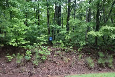 76 N Harris Creek Drive, Ellijay, GA 30540 - Photo 3