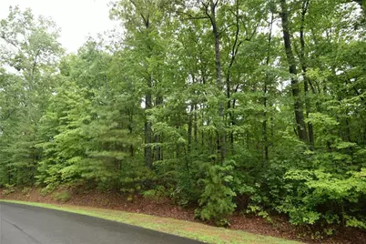 76 N Harris Creek Drive, Ellijay, GA 30540 - Photo 7