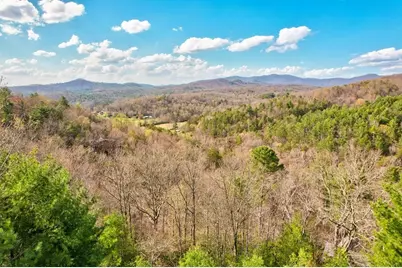 425 Rhonda Lane, Mineral Bluff, GA 30559 - Photo 5