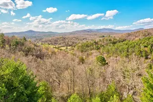 425 Rhonda Ln, Mineral Bluff, GA 30559 - Photo 5