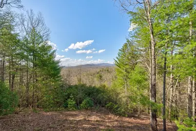 425 Rhonda Lane, Mineral Bluff, GA 30559 - Photo 57