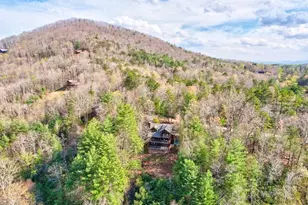 425 Rhonda Ln, Mineral Bluff, GA 30559 - Photo 59