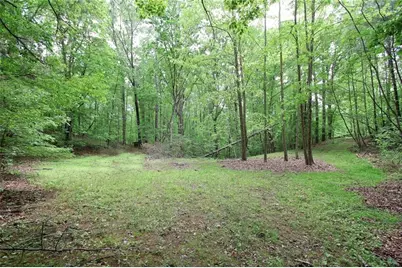 445 Lula Payne Trail, Ball Ground, GA 30107 - Photo 17