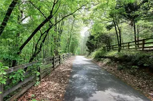 445 Lula Payne Trail, Ball Ground, GA 30107 - Photo 67