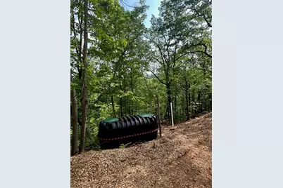 324 Adair Drive, Ranger, GA 30734 - Photo 7