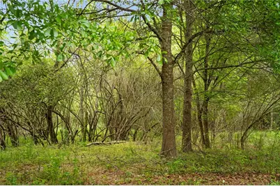 0 Mountain Road, Alpharetta, GA 30004 - Photo 15