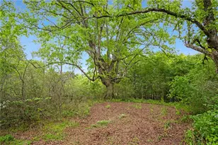 0 Mountain Rd, Alpharetta, GA 30004 - Photo 9