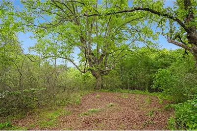 0 Mountain Road, Alpharetta, GA 30004 - Photo 9