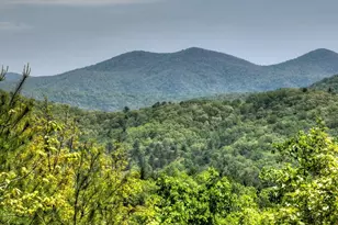 46 Cochise Road, Blue Ridge, GA 30513 - Photo 57