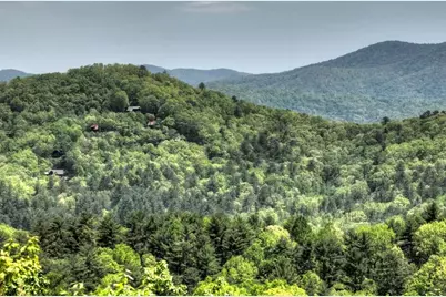 46 Cochise Road, Blue Ridge, GA 30513 - Photo 55