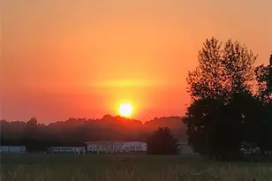 20 Willow Woods Rd, Social Circle, GA 30025 - Photo 33