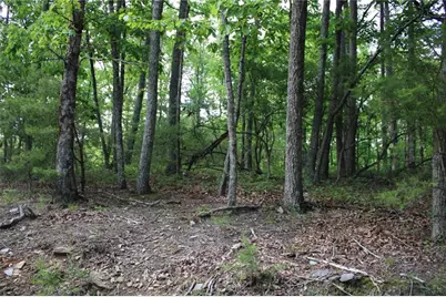 1427 Jasper Court NE, Ranger, GA 30734 - Photo 3