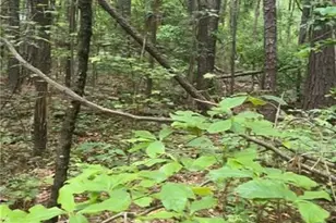 0 GA-142, Newborn, GA 30056 - Photo 1