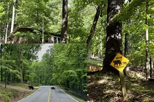 147 Laurel Mill Trail, Jasper, GA 30143 - Photo 53