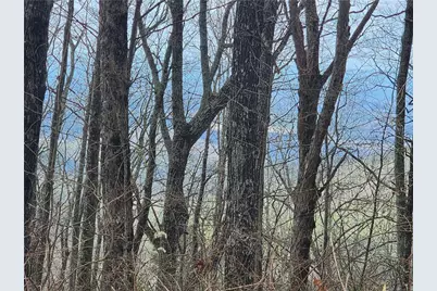 0 Dowell Circle, Ellijay, GA 30540 - Photo 3