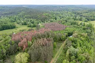 2620 High Shoals Rd, Dallas, GA 30132 - Photo 41