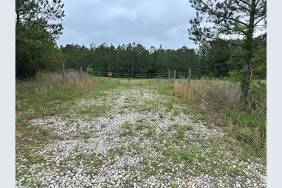 55 Spring Place Road, Cartersville, GA 30121 - Photo 3