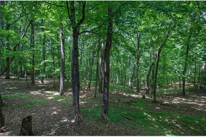 354 Starcross Lane, Jasper, GA 30143 - Photo 59