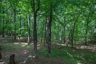 354 Starcross Ln, Jasper, GA 30143 - Photo 59