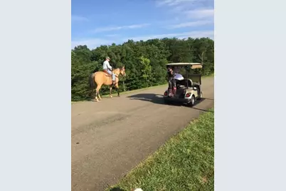 354 Starcross Lane, Jasper, GA 30143 - Photo 81