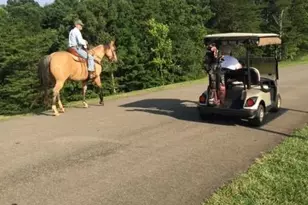 354 Starcross Ln, Jasper, GA 30143 - Photo 81