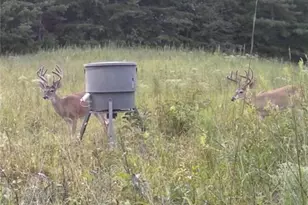 7596 Red Bud Rd NE, Ranger, GA 30734 - Photo 3