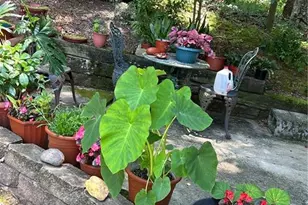 218 Burt Nix Rd, Blairsville, GA 30512 - Photo 49