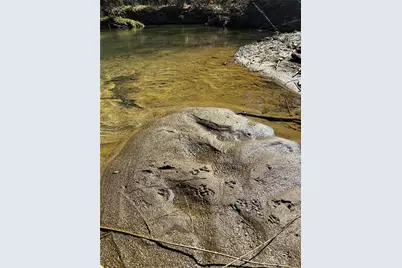 0 Conniston Road, Chatsworth, GA 30705 - Photo 5