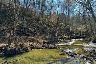 0 Conniston Rd, Chatsworth, GA 30705 - Photo 3