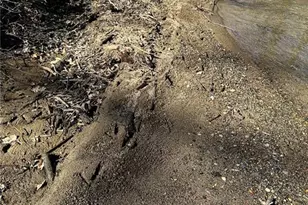 0 Conniston Rd, Chatsworth, GA 30705 - Photo 7